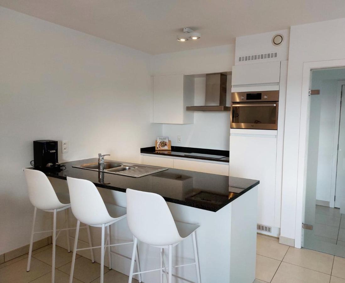 Duplex Villa Capricia Appartement Met Zwembad Nieuwpoort Jachthaven Екстер'єр фото