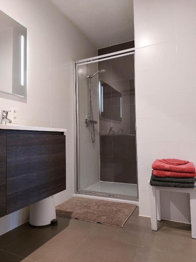 Duplex Villa Capricia Appartement Met Zwembad Nieuwpoort Jachthaven Екстер'єр фото
