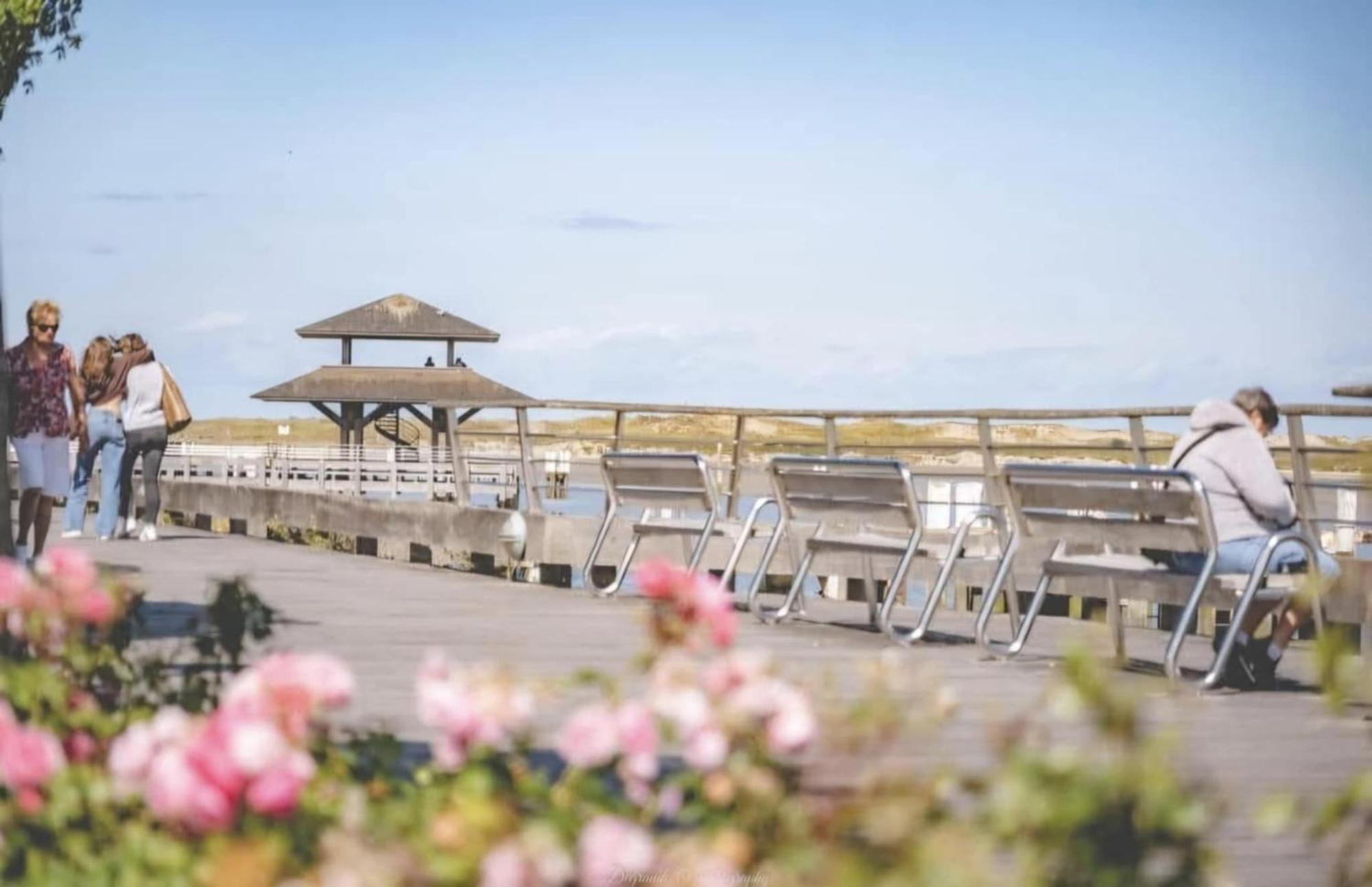 Duplex Villa Capricia Appartement Met Zwembad Nieuwpoort Jachthaven Екстер'єр фото